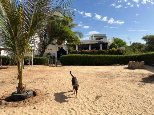 Plage Chambre Africa